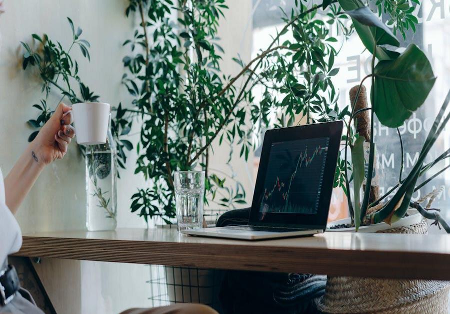 finansu izaugsme